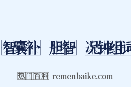 智囊补·胆智·况钟组词是什么意思的图片